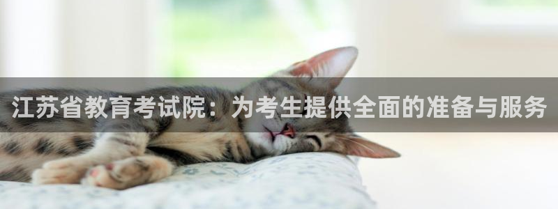 jdb电子试玩网页