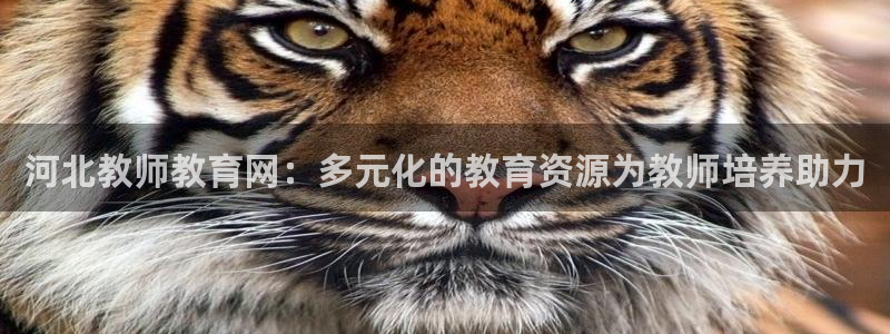 jdb试玩网页版