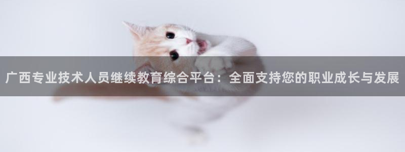 jdb电子游戏平台