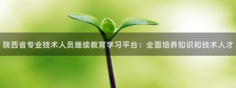 jdb电子官网3.8.2.2.2.3主管还