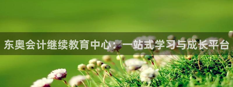 jdb电子飞鸟派对游戏爆大奖图片