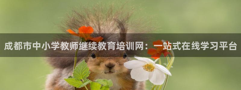 夺宝jdb电子变脸