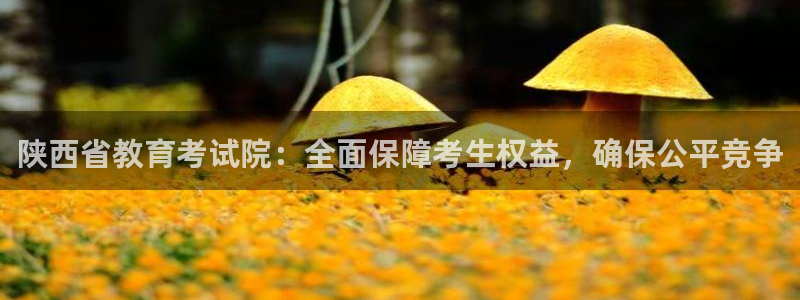 jdb电子游戏平台官网
