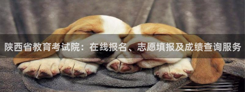 电子游艺jdb变脸
