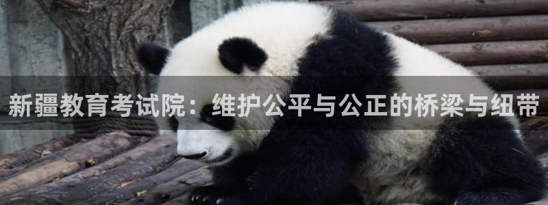 jdb变脸2