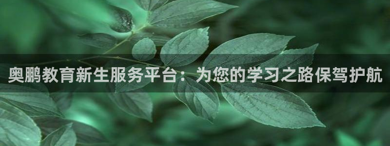 jdb五龙捕鱼实用技巧