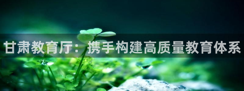 jdb电子台湾黑熊