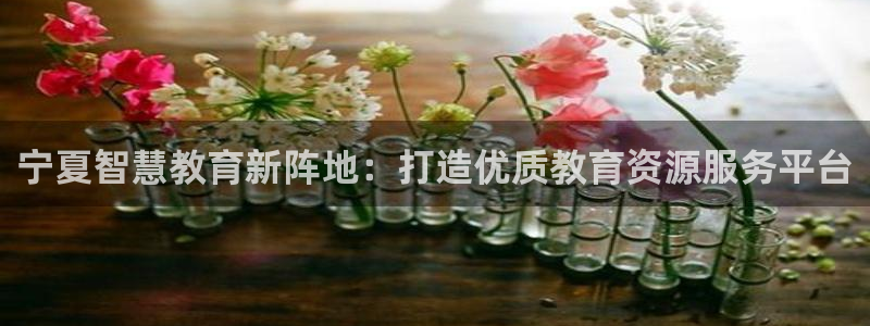 jdb电子怎么样