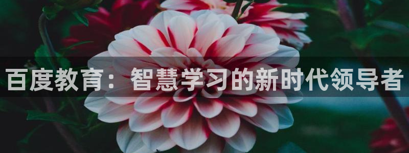 夺宝jdb网址