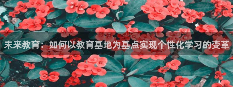 jdb电子游戏辅助器