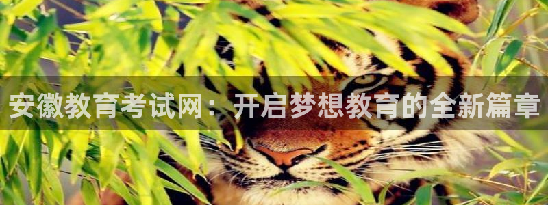 jdb_official_v1.9.1.apk github