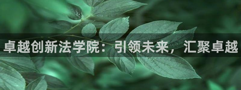 jdb电子游戏有人赢吗