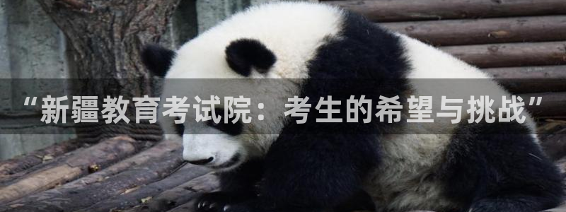jdb试玩模拟器
