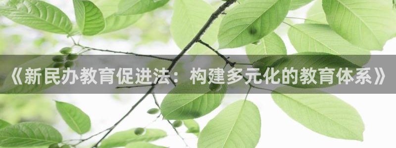 JDB电子王牌