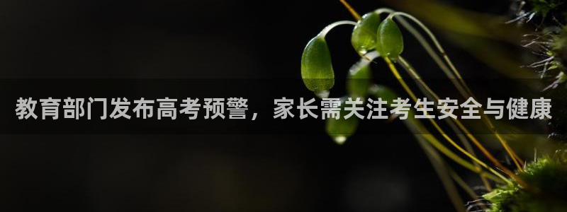 jdb电子富豪哥2爆上千的技巧