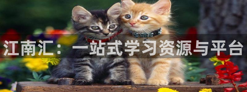 下载jdbc mysql数据库驱动