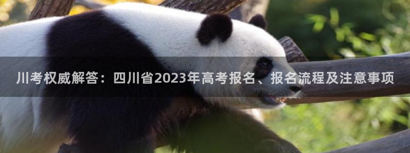 jdb电子游戏大奖图片