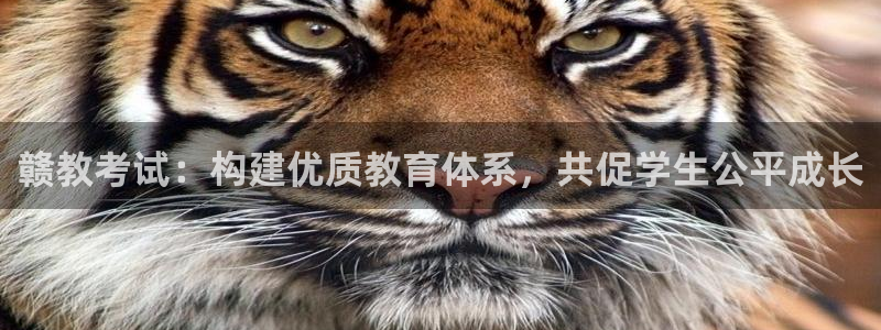 JDB电子游戏大奖