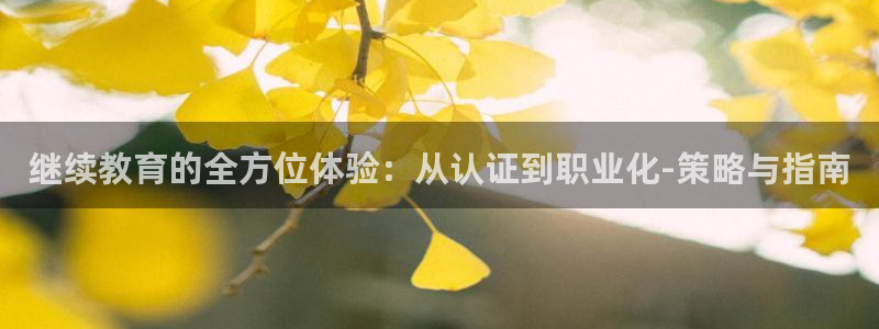 jdb电子游戏修改器