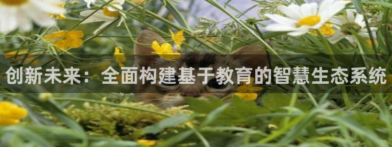 jdb电子游戏麻将无双