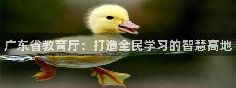 jdb试玩2000的网站是什么