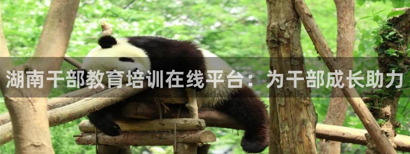 jdb电子游戏有人赢吗